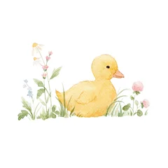 Cute Yellow Duckling Looking at a Dragonfly Watercolor Clipart © Zenina-Lembrik