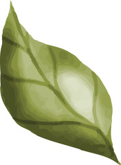 Minimalist Garden Leaf © dheodonnya