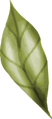 Simple Botanical Leaf © dheodonnya