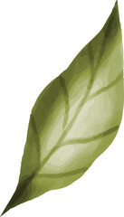 Wild Forest Leaf © dheodonnya