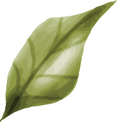Wild Forest Leaf © dheodonnya