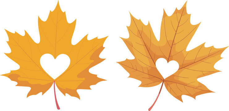 Two Orange Maple Leaves with Heart Cutouts maple leaf