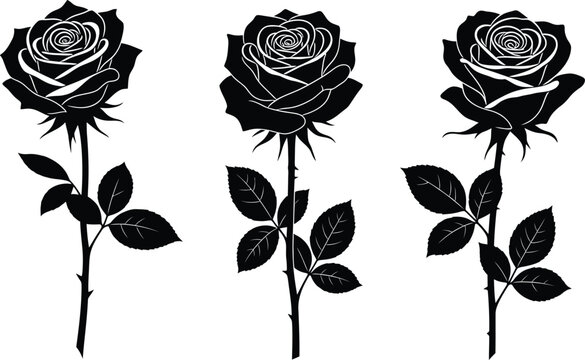 Detailed Long Stemmed Black Rose Floral Silhouette Vector Collection