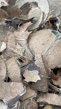 Heap of Broken Dried Coconut Shells Texture