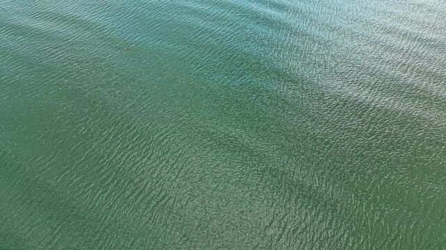Ripples move across the clear water of the lake. The sun shines down, creating patterns as light dances on the surface. The scene captures the essence of nature in a simple moment.