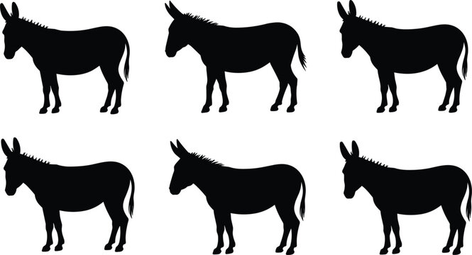 Domestic donkey animal black silhouette collection standing side view farm mammal livestock design graphic element set vector