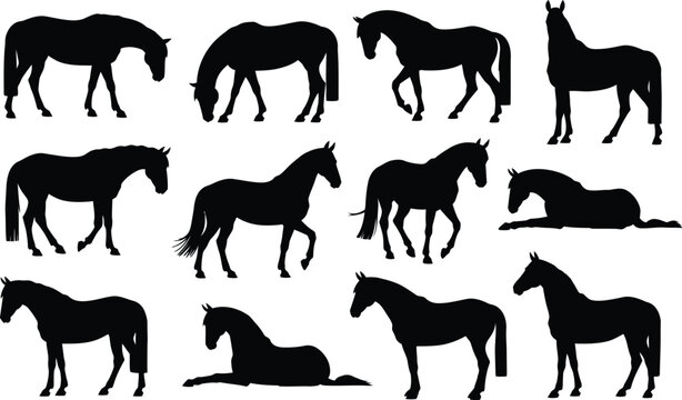 Horse silhouettes collection diverse poses for graphic design and equestrian art