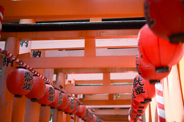 Shrine Beams Red Lanterns Upward © Kosuke Miyoshi