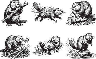 Obraz premium Set of beavers. Hand drawn vector illustration 