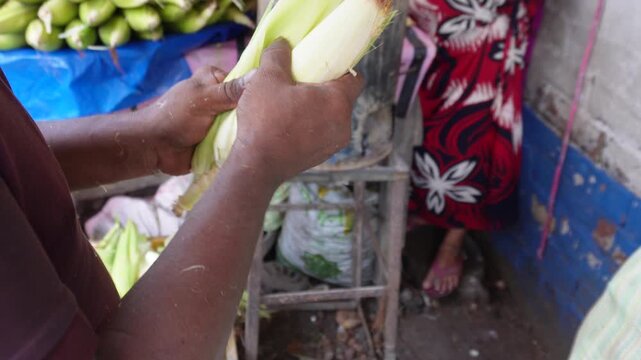 Street vendor peeling fresh grilled sweet corn with care