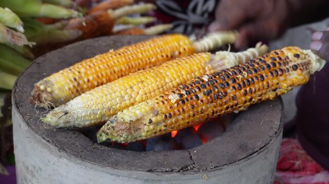 Fresh corn roasting over hot coals with smoky flavor