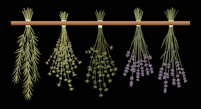Dried aromatic herbs and lavender bundles hanging from wooden rod against black background