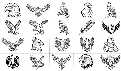 30 Modern Black and White Parrot Line Art Vector Set © Md