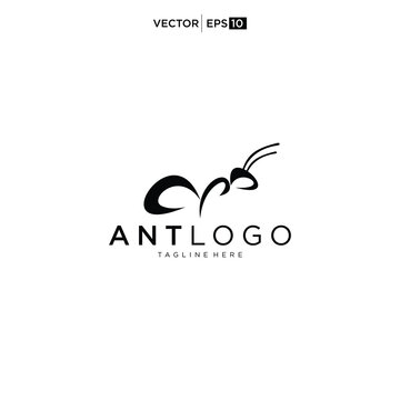 Minimalist Ant Logo Design Vector.