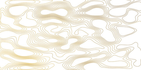 Elegant tightly packed gold topography background. Abstract contour map lines on white. Geographic relief design for branding and copy space. © NIROB
