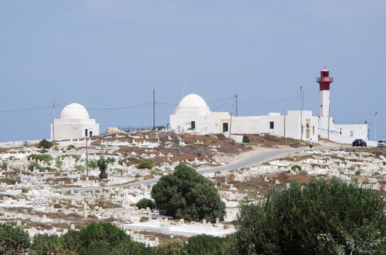 Traditional white domed marabouts in a marine cemetery framed by palm trees