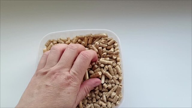 Hand pouring wood pellets to check quality, biofuel energy concept. Biofuel quality and energy crisis concept.