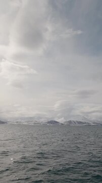 Northern fulmar flying over an Arctic fjord in Svalbard