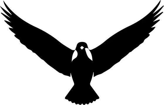 silhouette of angel