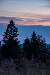 Zachód słońca za lasem 2 © Rafal Lechowicz