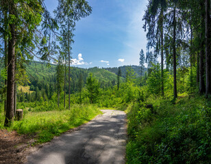 Hala Rycerzowa  © Rafal Lechowicz