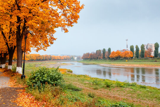 street on the river shore in autumn. uzhhorod city with in fall season. reflection on the water. linden trees and lantern