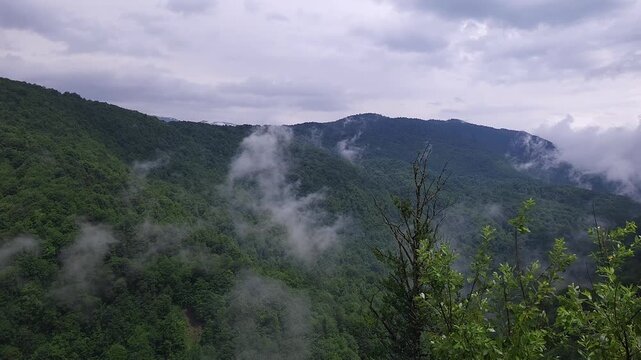 Epic view of a dense green forest covering rolling mountains, with mystical fog and clouds moving through the valleys under a dramatic, overcast sky, creating a moody and scenic natural panorama