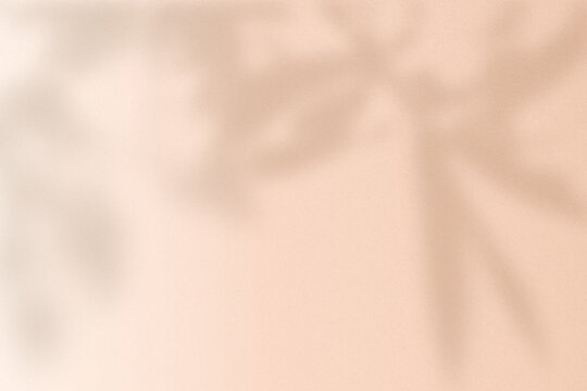 Soft peach background with blurred leaf shadows, creating a gentle, airy texture.