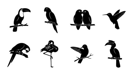 Diverse Bird Silhouettes Collection: Tropical Parrots, Toucans, Flamingos, Hummingbirds, Lovebirds, Hornbills © Hasib