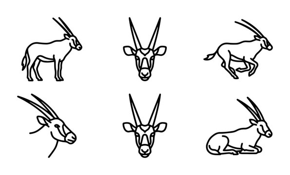 Gemsbok Oryx Vector Icons Set: Standing, Running, Head Views, Resting, African Wildlife Line Art