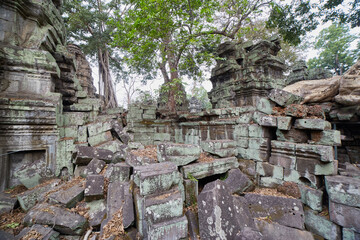 Fototapeta premium Ta Prohm was Jayavarman VII's first major temple, and an ancestral temple dedicated to his mother