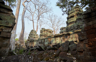 Obraz premium Ta Prohm was Jayavarman VII's first major temple, and an ancestral temple dedicated to his mother