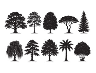Fototapeta premium Broadleaf Oak Pine Palm Tree Silhouette Set, CAD Line Art Vector for Tropical Landscape Architecture Elevation, Plant Section Isolated on White