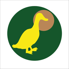 Fototapeta premium AVES, PALOMA, CISNE, AGUILA, PATO, BUHO, CONDOR, PLUMAS, CIELO, VUELO, SOL, VERDE, NATURAL, VIENTO, BRISA