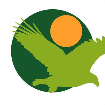 AVES, PALOMA, CISNE, AGUILA, PATO, BUHO, CONDOR, PLUMAS, CIELO, VUELO, SOL, VERDE, NATURAL, VIENTO, BRISA