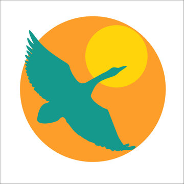 AVES, PALOMA, CISNE, AGUILA, PATO, BUHO, CONDOR, PLUMAS, CIELO, VUELO, SOL, VERDE, NATURAL, VIENTO, BRISA