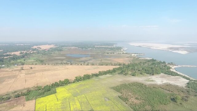  Aerial drone view of agricultural paddy fields and green landscape along the Brahmaputra River bank in Majuli Assam India