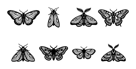 Set of 8 Black and White Moth Illustrations, Vintage Insect Vector Graphics, Delicate Lepidoptera Art © Kazol