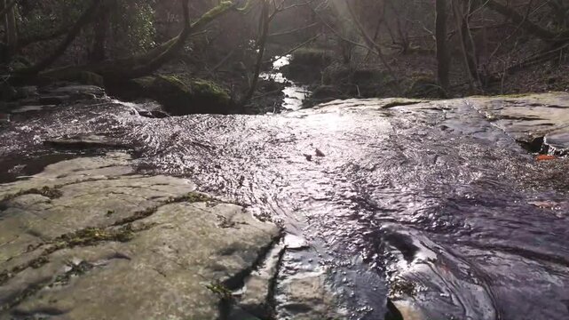 Close Up of Water Running Away From the Camera Over Stone in a Forest Stream
