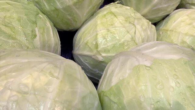 Close up of fresh green leafy vegetables, conceptually illustrating agricultural food safety warnings, grocery recalls, and cyclospora outbreaks