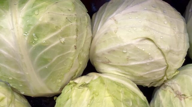 Close up of fresh green leafy vegetables, conceptually illustrating agricultural food safety warnings, grocery recalls, and cyclospora outbreaks