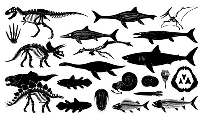 Prehistoric Dinosaur Fossils and Ancient Sea Life Vector Collection EPS © Rasme