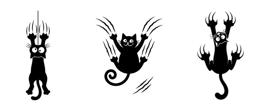 Three funny cartoon black cat silhouettes with sharp claws scratching and hanging on blank surface.