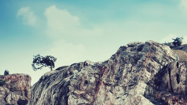 A rocky area shows rough terrain and a single tree growing on top of a cliff. The sky is blue with some clouds. This scene captures natures simplicity at a remote location.