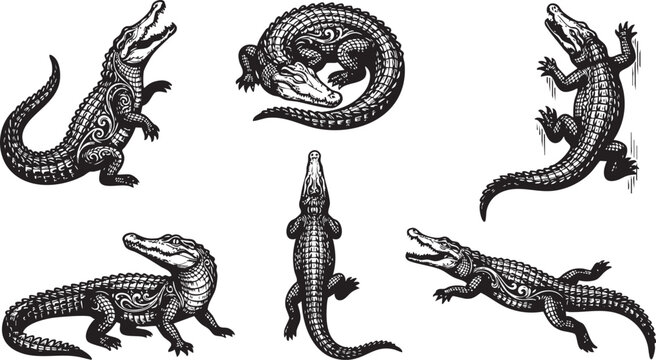 A set of crocodiles. Hand drawn vector illustration	