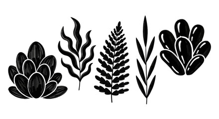 A collection of stylized, monochrome botanical illustrations featuring a variety of plant shapes and leaf structures © Viadalla