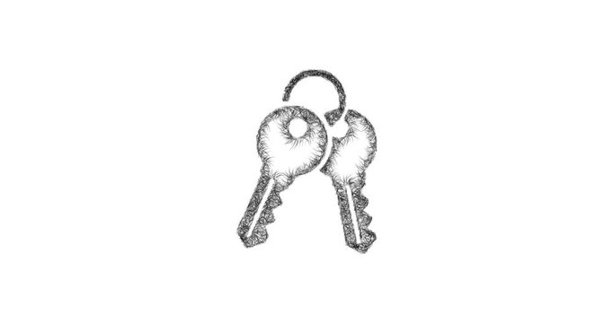 Sketch duplicate key icon animation - smooth progressive reveal