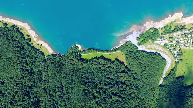 Top-Down Aerial View of a Swiss Lake and Forest Shoreline