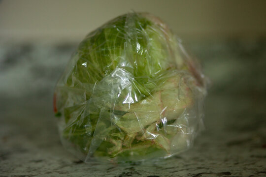 Bagged head of lettuce on the kitchen counter