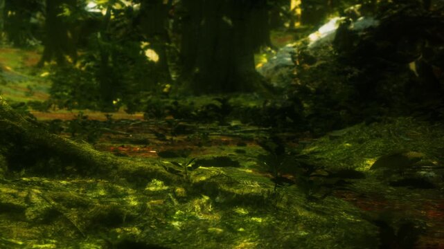 Bright sunlight filters through trees in a dense forest. The ground is covered with various plants and leaves. Shadows play on the rich green soil, creating a lively scene.